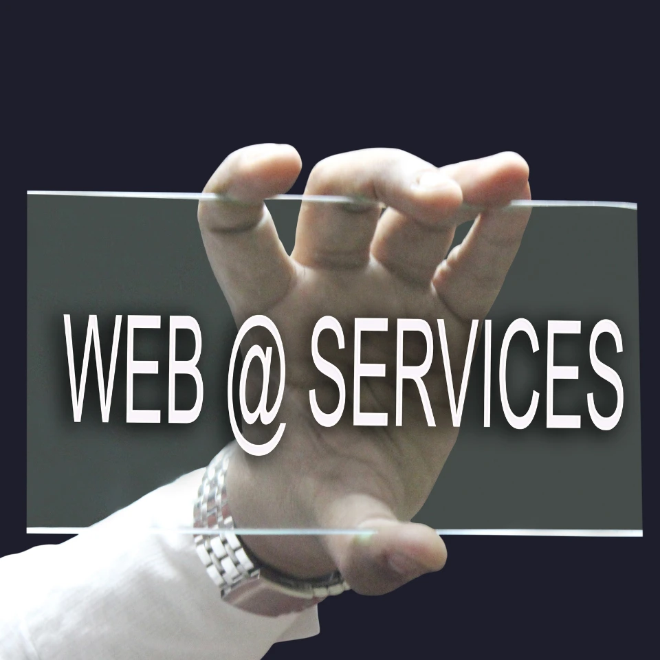 Hand reaching toward transparent screen displaying 'WEB @ SERVICES' text, representing digital web services concept