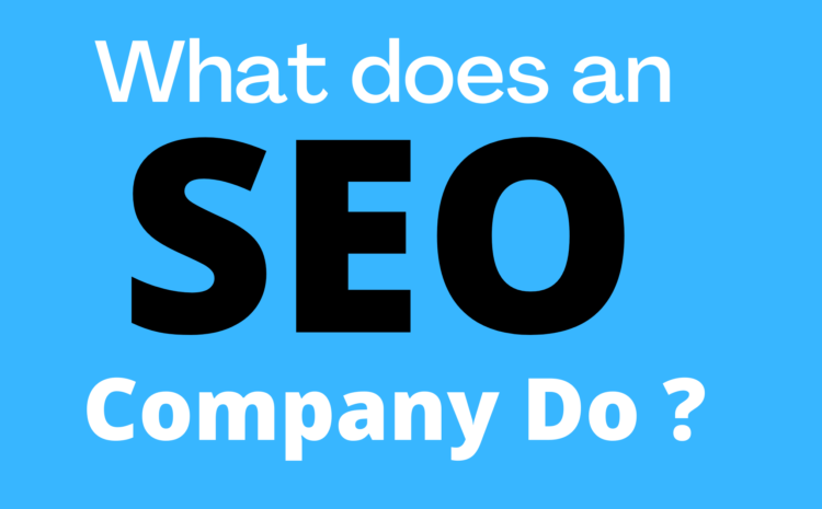 What does seo company do